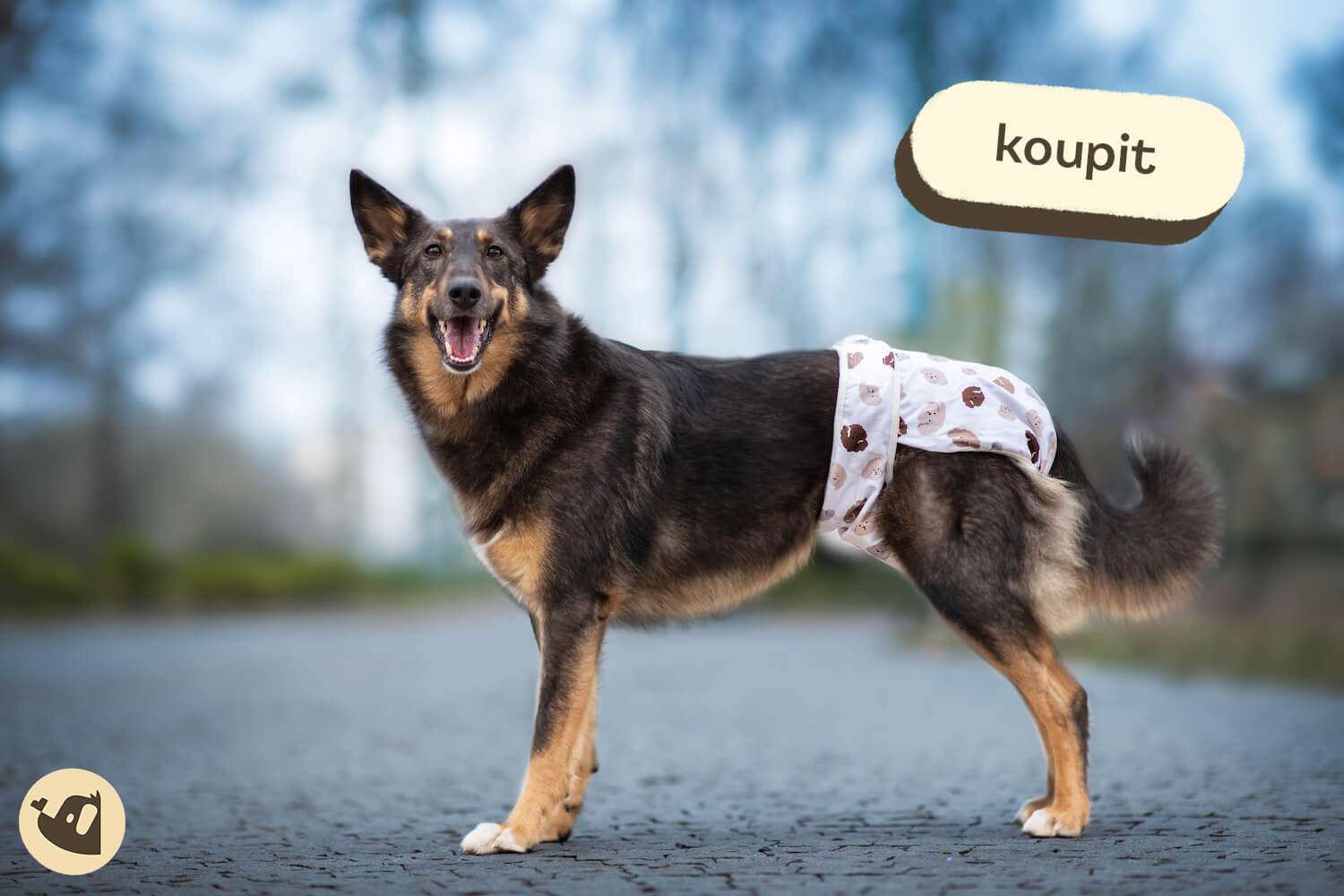 Hárání fen a péče v domácnosti