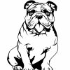 Buldok 1