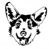 Corgi 3