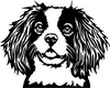 Kavalír 5