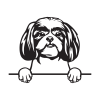 Shih-tzu 4 dřevěná dekorace na zeď