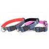 Jeans obojek pro psa | 22 – 47 cm