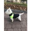 Slim-rainy obleček pro psa na zip XXXDRD (Barva Černo-červená, Délka zad psa 20, Obvod hrudníku 32 - 36 cm)