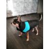 Slim-rainy obleček pro psa na zip XXXDRD (Barva Černo-červená, Délka zad psa 20, Obvod hrudníku 32 - 36 cm)