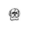 Shih-tzu 3 dřevěná dekorace na zeď
